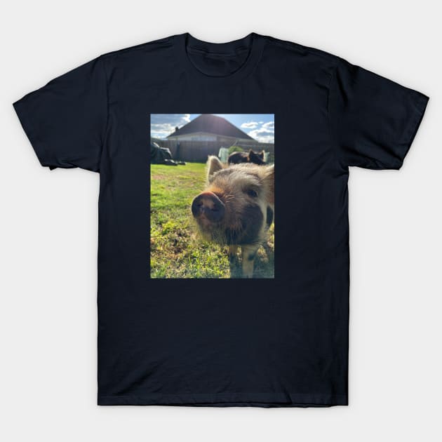 Riblet the Pig T-Shirt by A Midd Sized Farm Store